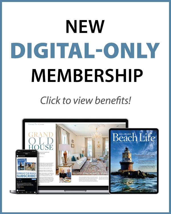 518_websubscribebutton-digitalonly-new Subscribe - Delaware Beach Life