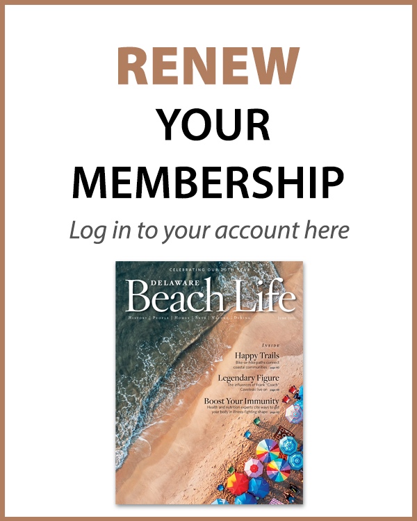 520_websubscribebutton-renew-new Subscribe - Delaware Beach Life