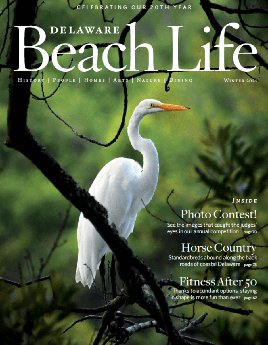 497_screen-shot-2021-11-19-at-12-07-42-pm Premier Lifestyle Magazine of Coastal Delaware | Delaware Beach Life