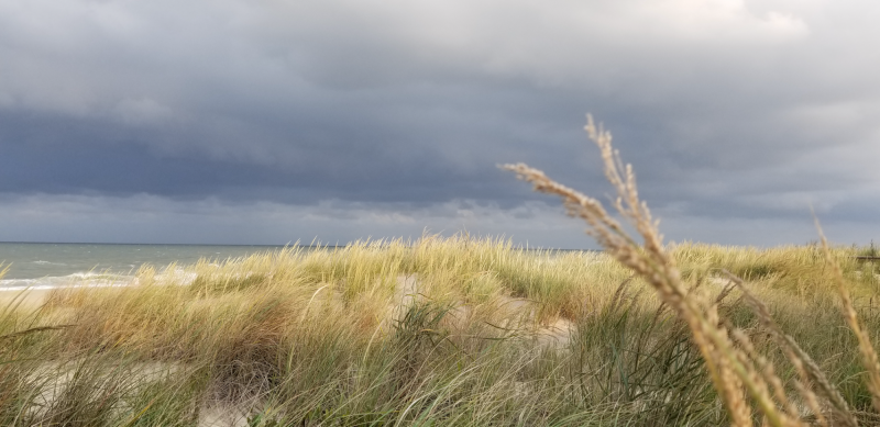 Carol Polakowski   incoming storm on september evening in Fenwick Island