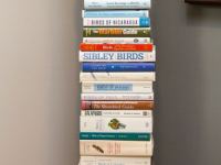 tower of bird books aug 2021